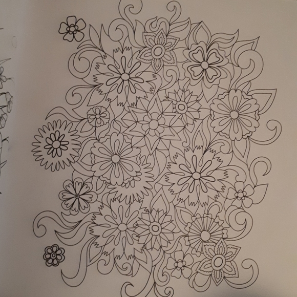 NWT - Garden Colouring Book - Picture 5 of 8